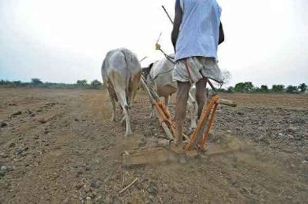 ‘ದೇವಸ್ಥಾನದ ಭೂಮಿಯಲ್ಲಿ ದಲಿತ ಕ್ರೈಸ್ತರು, ಮುಸ್ಲಿಮರಿಗೆ ಕೃಷಿಗೆ ಅವಕಾಶ ಇಲ್ಲ’