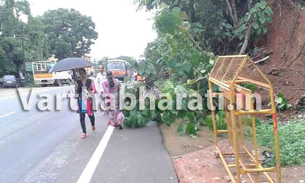 ಕಲ್ಲಡ್ಕ: ಹೆದ್ದಾರಿಗೆ ಉರುಳಿದ ಮರದಿಂದ ಪಾದಚಾರಿಗಳಿಗೆ ತೊಂದರೆ