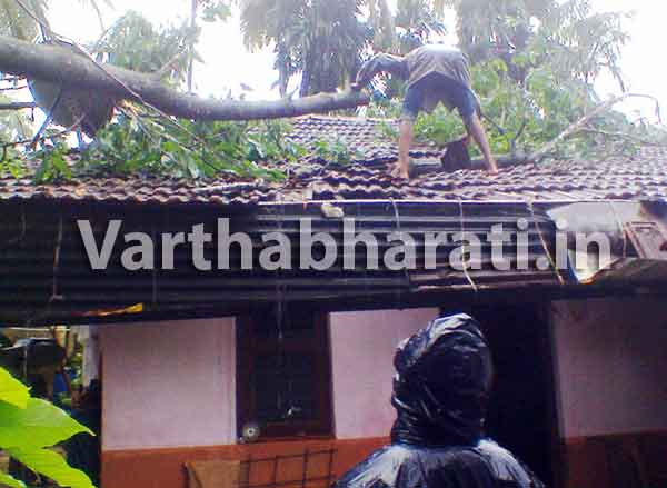 ಉಜಿರೆ: ಮರ ಬಿದ್ದು ಮನೆಗೆ ಹಾನಿ