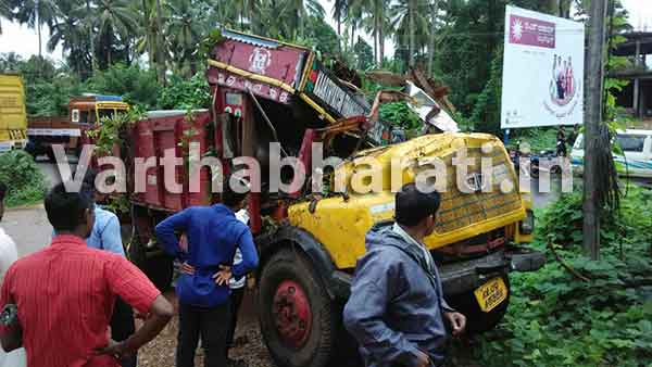 ಸುಳ್ಯ: ಲಾರಿ ಮೇಲೆ ಮರ ಬಿದ್ದು ಚಾಲಕ ಮೃತ್ಯು