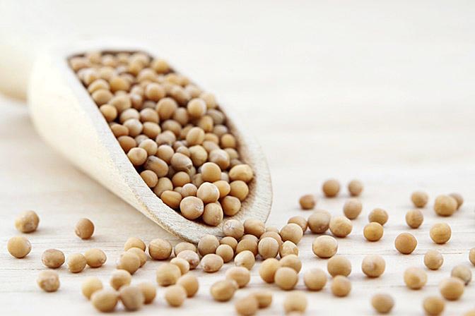 ಬೆಟ್ಟಗಾತ್ರದ ವಿವಾದ ಸೃಷ್ಟಿಸಿದ ಪುಟ್ಟ  ಕುಲಾಂತರಿ ಸಾಸಿವೆ!