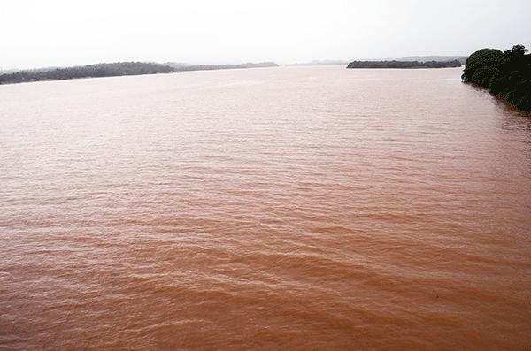 ಮೈದುಂಬಿ ಹರಿಯುತ್ತಿದೆ ನೇತ್ರಾವತಿ