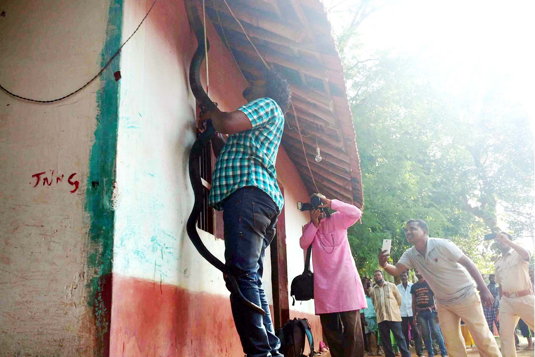 ಮನೆಯೊಳಗೆ ಅವಿತಿದ್ದ ಬೃಹದಾಕಾರದ ಕಾಳಿಂಗ ಸರ್ಪ ಸೆರೆ!