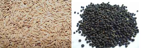 ಭತ್ತವನ್ನು ಕಾಳುಮೆಣಸು ಎಂದು ಬ್ಯಾಂಕ್‌ನ್ನು ಯಾಮಾರಿಸಿ ಸಾಲಪಡೆದ ಗ್ರಾಹಕ!