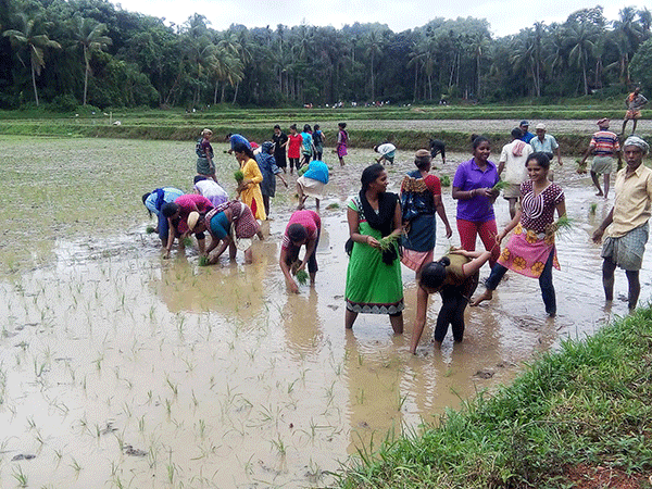 ಕೊಣಾಜೆ: ಕಂಡಡೊಂಜಿ ದಿನ ಬೆನ್ನಿ ಬೆನ್ಕ ಕಾರ್ಯಕ್ರಮ