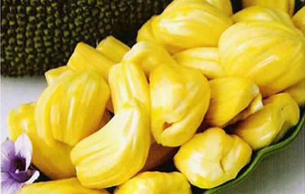 ಪಿಲಿಕುಳದಲ್ಲಿ ಹಲಸಿನ ಘಮ...