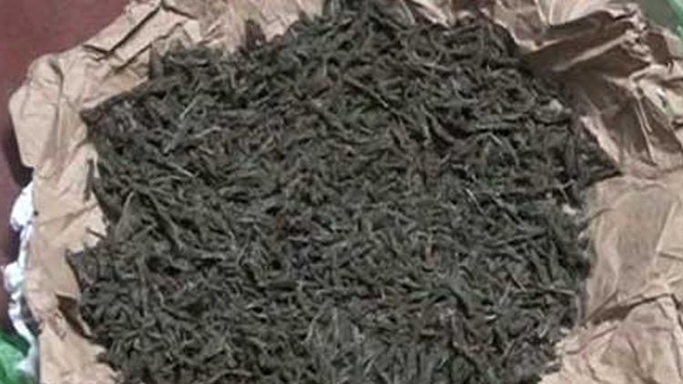 ಕೇರಳದಲ್ಲಿ ಅಬಕಾರಿ ದಾಳಿ: ವಲಸೆಕಾರ್ಮಿಕರ ಕ್ಯಾಂಪ್‌ಗಳಲ್ಲಿ ಗಾಂಜಾ, ಬ್ರೌನ್‌ಶುಗರ್ ಪತ್ತೆ, 12 ಮಂದಿ ಬಂಧನ