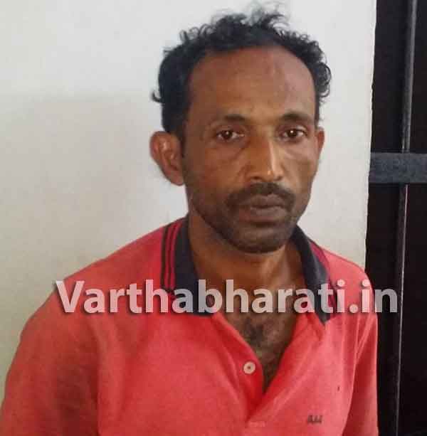 ಮಂಜೇಶ್ವರ: ಅಡಿಕೆ ಕಳವು ಪ್ರಕರಣದ ಆರೋಪಿ ಸೆರೆ