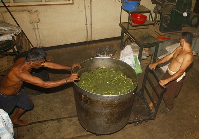 ಗಿಡಮೂಲಿಕೆಗಳ ಔಷಧಿ ಸಂಪೂರ್ಣ ಸುರಕ್ಷಿತವೆ?