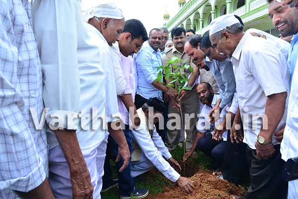 ಗಿಡ ನೆಡುವ ಕಾರ್ಯಕ್ರಮದಲ್ಲಿ ಕೈಜೋಡಿಸಲು ಖಾದರ್ ಕರೆ
