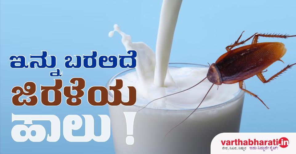 ಇನ್ನು ಬರಲಿದೆ ಜಿರಳೆಯ ಹಾಲು