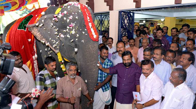 ಕೇರಳ ಆನೆಯ ಗಿನ್ನೆಸ್ ದಾಖಲೆ ಸೇರ್ಪಡೆಗೆ ಪ್ರಾಣಿಹಕ್ಕುಗಳ ಸಂಸ್ಥೆಯ ವಿರೋಧ