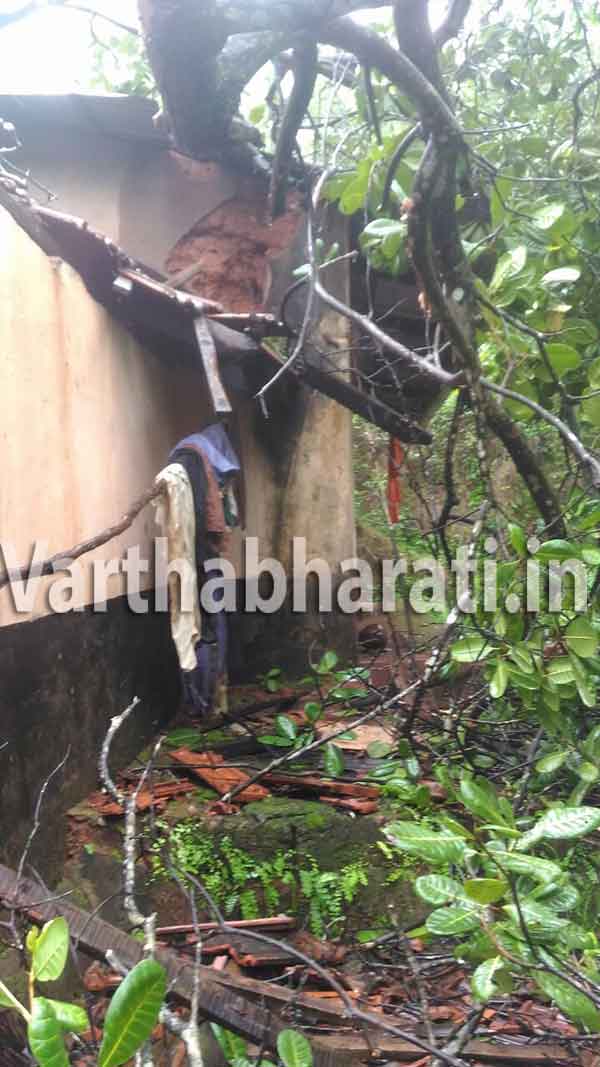 ತೆಂಕಮಿಜಾರು : ಮನೆಯ ಮೇಲೆ ಉರುಳಿದ ಮರ