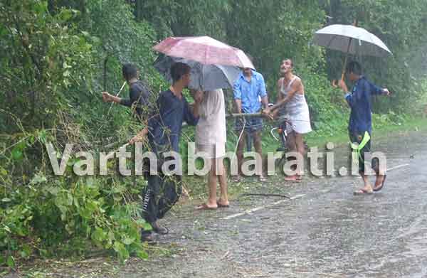 ಉಪ್ಪಿನಂಗಡಿಯಲ್ಲಿ ರಸ್ತೆಗುರುಳಿದ ಬಿದಿರು: ಸಾರ್ವಜನಿಕರಿಂದಲೇ ತೆರವು