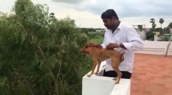ಗಮ್ಮತ್ತಿಗಾಗಿ ನಾಯಿಯನ್ನು ಟೆರೇಸ್ ನಿಂದ ಕೆಳಗೆಸೆದ ವೈದ್ಯಕೀಯ ವಿದ್ಯಾರ್ಥಿ !