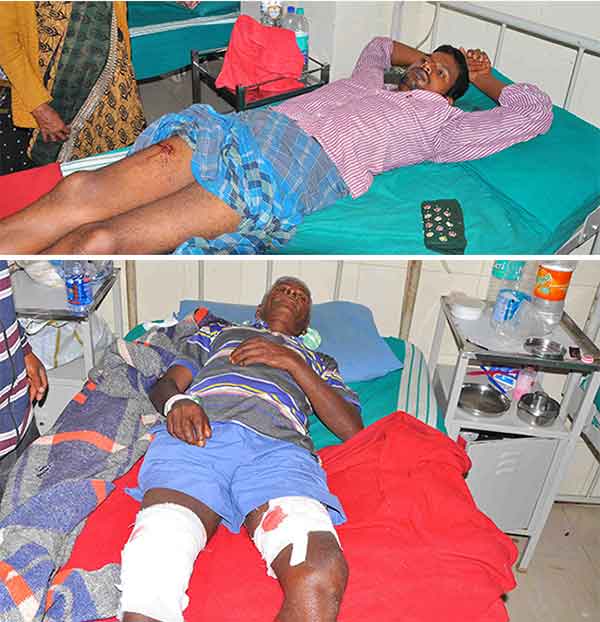 ಹಾಸನ: ಕಾಡುಹಂದಿ ದಾಳಿಯಿಂದ ಇಬ್ಬರಿಗೆ ಗಾಯ