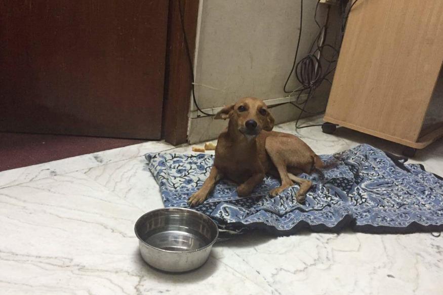 ವೈದ್ಯಕೀಯ ವಿದ್ಯಾರ್ಥಿ ಸಹಿತ ಇಬ್ಬರ ಬಂಧನ