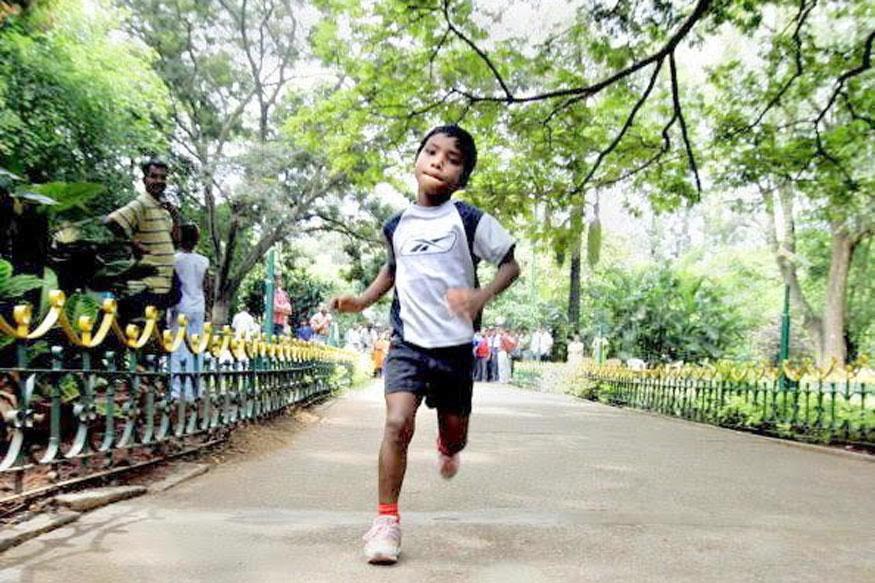 ಬುಧಿಯಾ ನಾಪತ್ತೆಯಾಗಿಲ್ಲ, ಶೀಘ್ರವೇ ವಾಪಸಾಗಲಿದ್ದಾನೆ: ಒಡಿಶಾ ಸರಕಾರ