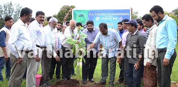 ಪಿ.ಎ. ಕಾಲೇಜಿನಲ್ಲಿ ವನಮಹೋತ್ಸವ ಆಚರಣೆ