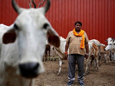 ಕೇಂದ್ರಕ್ಕೆ ಸೆಡ್ಡು ಹೊಡೆದ ವಿಹಿಂಪ