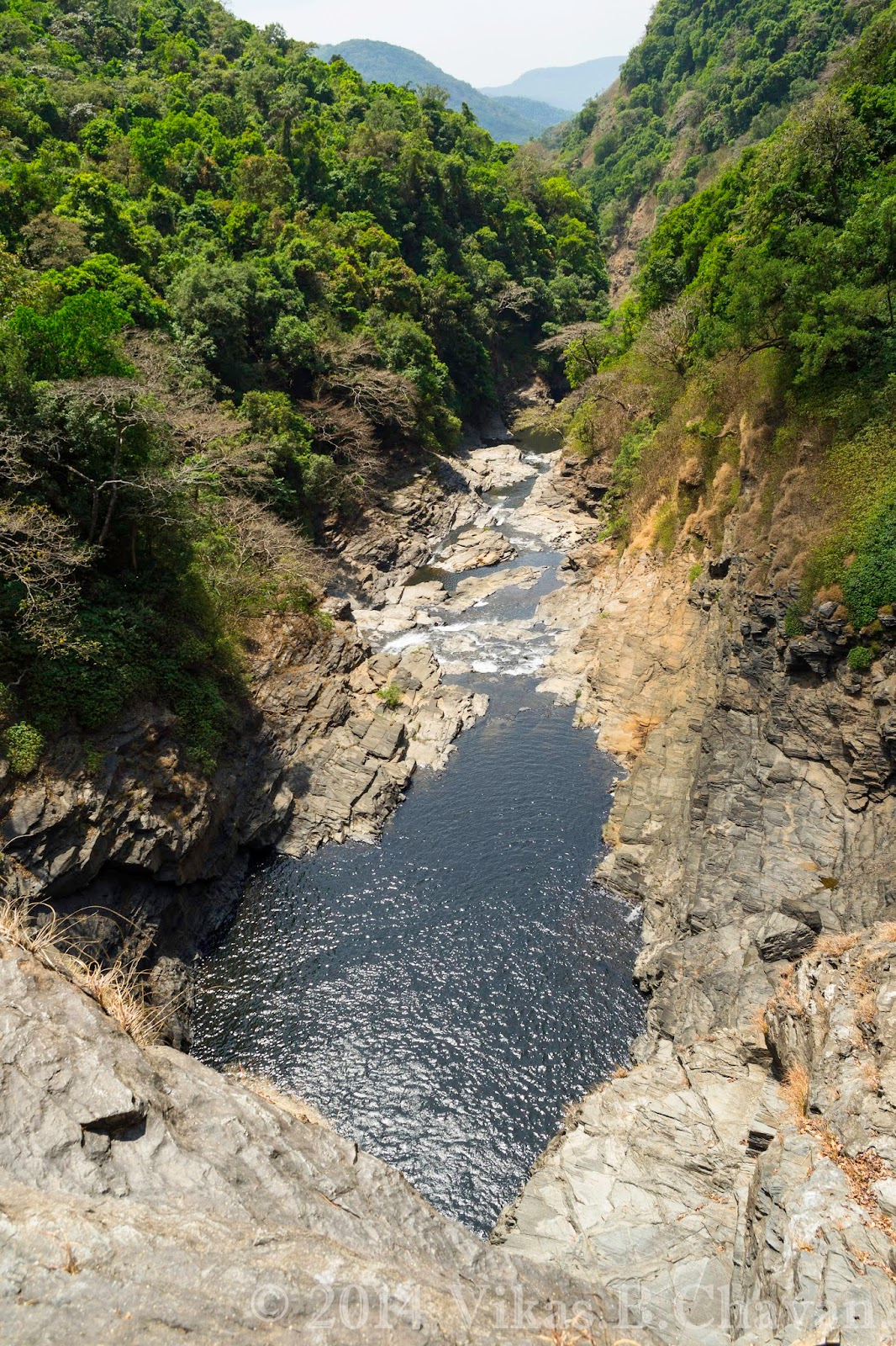 ಮಹಾದಾಯಿ ಹೋರಾಟಗಾರರ ಬಿಡುಗಡೆ