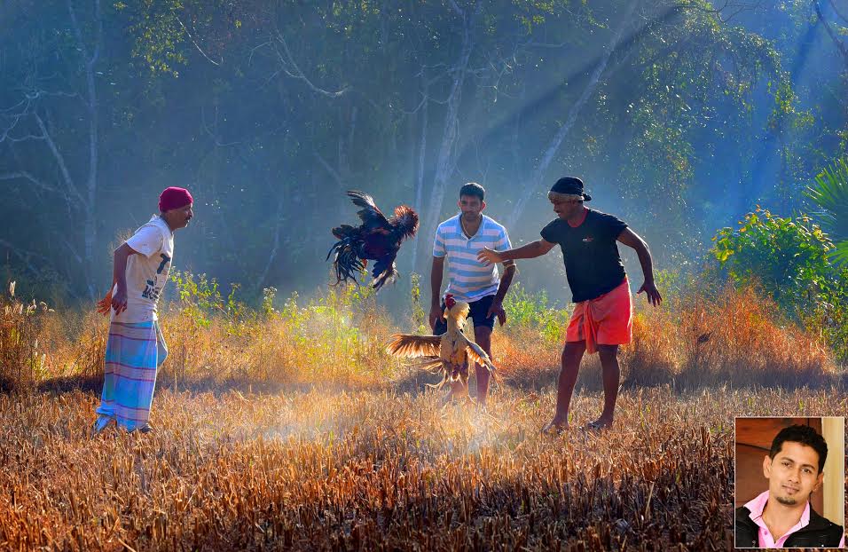 ಅಪುಲ್ ಇರಾ ಅವರ ಛಾಯಾಚಿತ್ರಕ್ಕೆ  ಬಹುಮಾನ