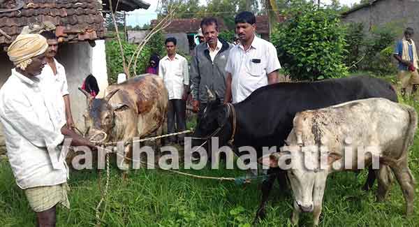 ಹಟ್ಟಿಗೆ ಬೆಂಕಿ: ಜಾನುವಾರುಗಳಿಗೆ ಗಂಭೀರ ಗಾಯ
