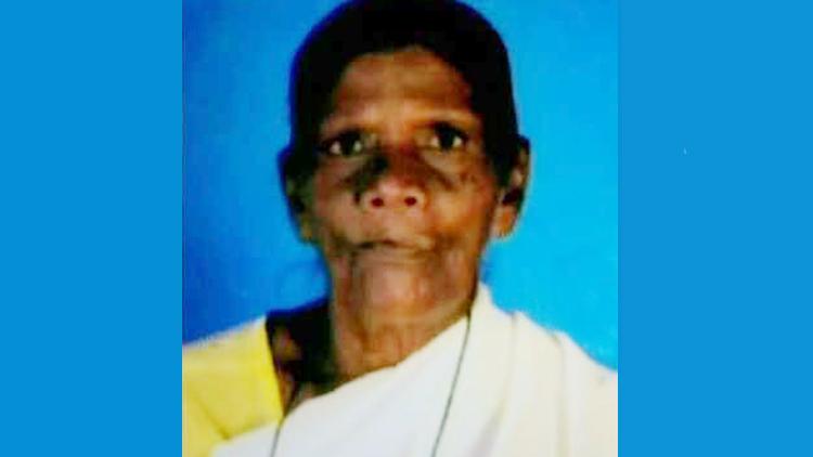 ಬೀದಿನಾಯಿ ಕಡಿತಕ್ಕೆ ವೃದ್ಧ ಮಹಿಳೆ ಸಾವು