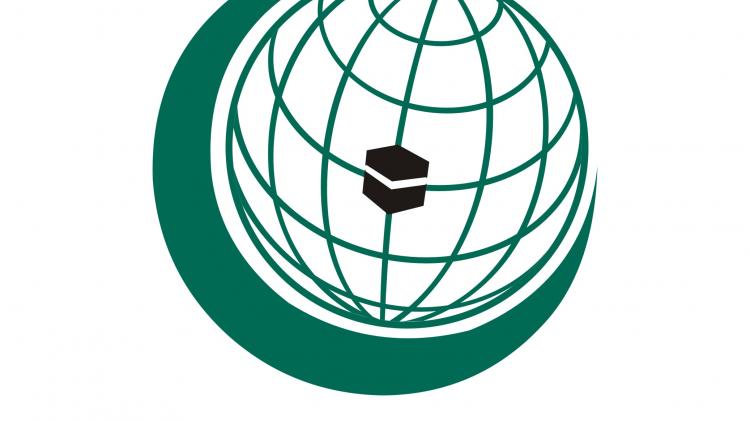 ಕಾಶ್ಮೀರದ ಕುರಿತು ಒಐಸಿ ಆತಂಕ ವ್ಯಕ್ತಪಡಿಸಿದೆ !: ಪಾಕಿಸ್ತಾನದ ಹೇಳಿಕೆ