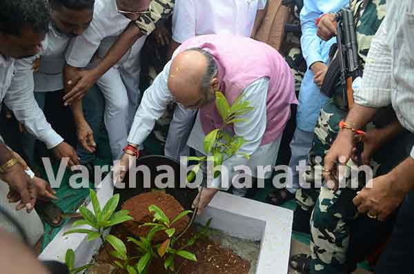 ‘ಗಿಡ ನೆಡಿ, ಪರಿಸರ ಉಳಿಸಿ’ ಅಭಿಯಾನಕ್ಕೆ ಅಮಿತ್ ಶಾ ಚಾಲನೆ