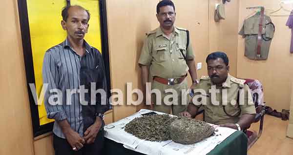 ಮಂಜೇಶ್ವರ : ಬಸ್‌ನಲ್ಲಿ ಸಾಗಿಸುತ್ತಿದ್ದ 5 ಕೆ.ಜಿ. ಗಾಂಜಾ ಸಹಿತ ಓರ್ವನ ಬಂಧನ