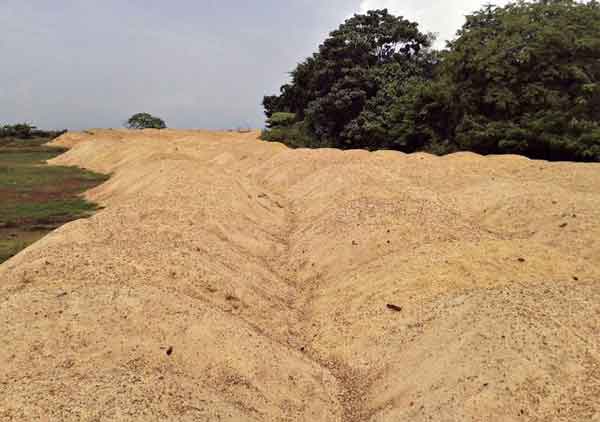 ಕಾಸರಗೋಡು: ಅಕ್ರಮ ಮರಳು ಅಡ್ಡೆಗಳಿಗೆ ದಾಳಿ - 100 ಲೋಡ್ ಮರಳು ವಶಕ್ಕೆ