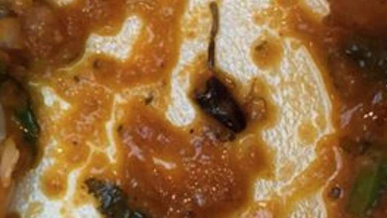 ಆಹಾರದಲ್ಲಿ ಜಿರಳೆ ಪತ್ತೆ ; ದುಬೈ ಹೋಟೆಲ್ ಬಂದ್