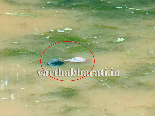 ಮಂಜೋಟಿ ಕೆರೆಯಲ್ಲಿ ಮೃತದೇಹ ಪತ್ತೆ