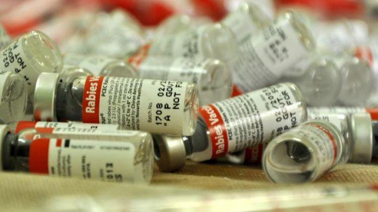 ಕೇರಳ: ಬೀದಿನಾಯಿ ಪ್ರೇಮದ ಹಿಂದೆ ಔಷಧ ಕಂಪೆನಿಗಳ ಲಾಬಿ?