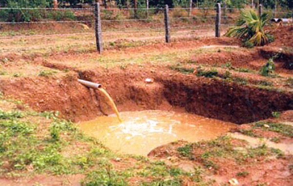 ದ.ಕ.: ಸದ್ದಿಲ್ಲದೆ ಸಾಗಿದೆ ಜಲಸಾಕ್ಷರತೆ