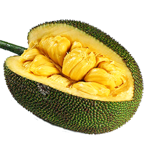 ಕೇರಳ: ‘ರಾಜ್ಯ ಫಲವಸ್ತು’ವಾಗಿ ಹಲಸು: ಆ.17ರಂದು ಘೋಷಿಸುವ ಸಾಧ್ಯತೆ