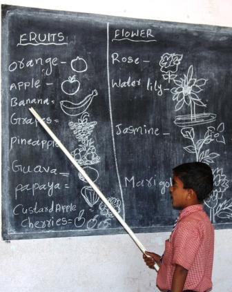 ಇಂಗ್ಲಿಷ್ ಮೀಡಿಯಂ ಕಪ್ಪೆಗಳು