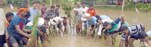 ಪುಳಿತ್ತಡಿಯಲ್ಲಿ ಕೆಸರುಗದ್ದೆ ಕ್ರೀಡೋತ್ಸವ