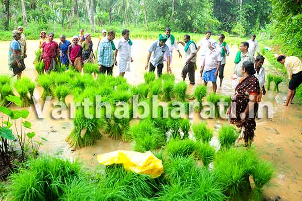 ಬಂಟ್ವಾಳ: ಸಂತ್ರಸ್ತ ರೈತರಿಂದ ಕೃಷಿಕ್ರಾಂತಿ