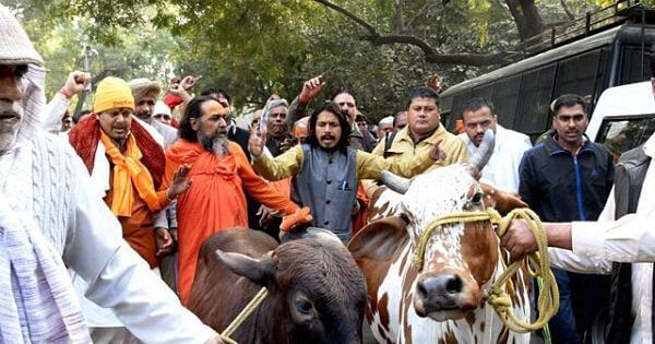 ಎತ್ತುಗಳ ಹತ್ಯೆ ವದಂತಿ : ನಕಲಿ ಗೋರಕ್ಷಕರಿಂದ ಮಹಿಳೆ ಸಹಿತ ಮನೆ ಮಂದಿ ಮೇಲೆ ಹಲ್ಲೆ