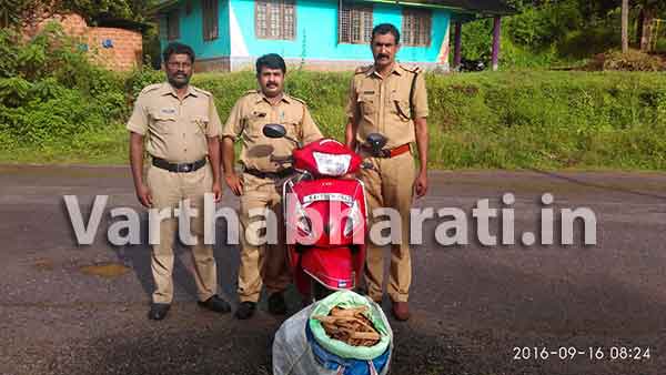 ಕಾಸರಗೋಡು: 15 ಕೆ.ಜಿ. ಶ್ರೀಗಂಧ ಸಹಿತ ಸ್ಕೂಟರ್ ವಶ