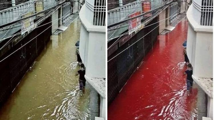 ಬಕ್ರೀದ್‌ನಂದು ಬಾಂಗ್ಲಾದಲ್ಲಿ ಹರಿದ ರಕ್ತದ ನದಿ!: ಅಸಲಿಯೇ? ನಕಲಿಯೇ?