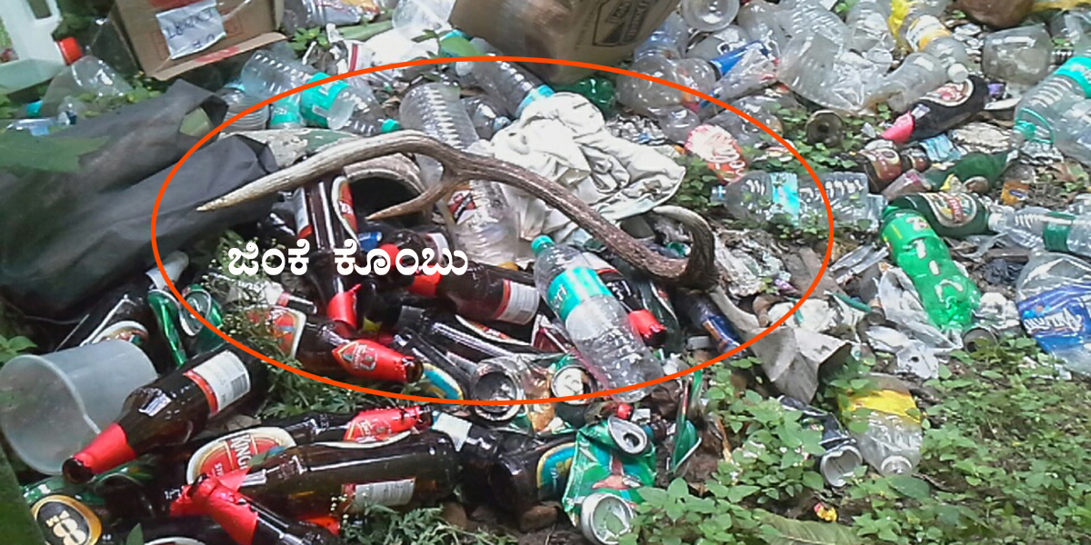 ಬಂಡೀಪುರ ಕಾರ್ಯಾಗಾರ: ಅರಣ್ಯಾಧಿಕಾರಿಗಳಿಗೆ ಜಿಂಕೆ ಮಾಂಸದೂಟ?