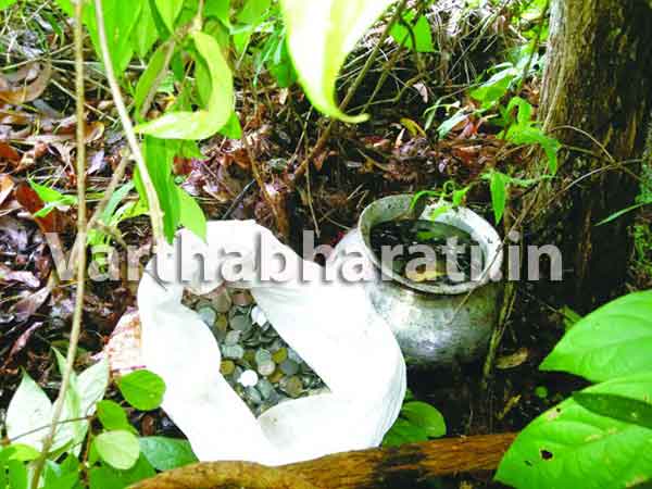 ಕಾಸರಗೋಡು: ಪೆರಡಾಲ ಕ್ಷೇತ್ರದಿಂದ ಕದ್ದ ಹುಂಡಿಯ ಹಣವನ್ನು ಹೂತಿಟ್ಟಿದ್ದ ಕಳ್ಳ!