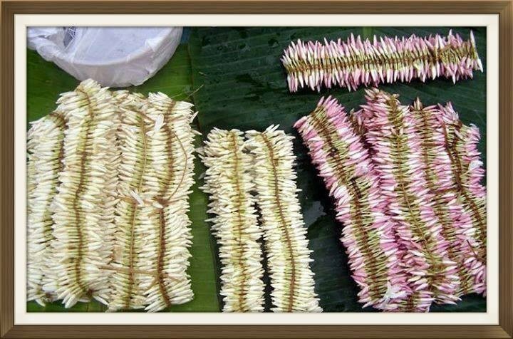 ಹಾಲು, ಹೂಗಳ ಮನೆ