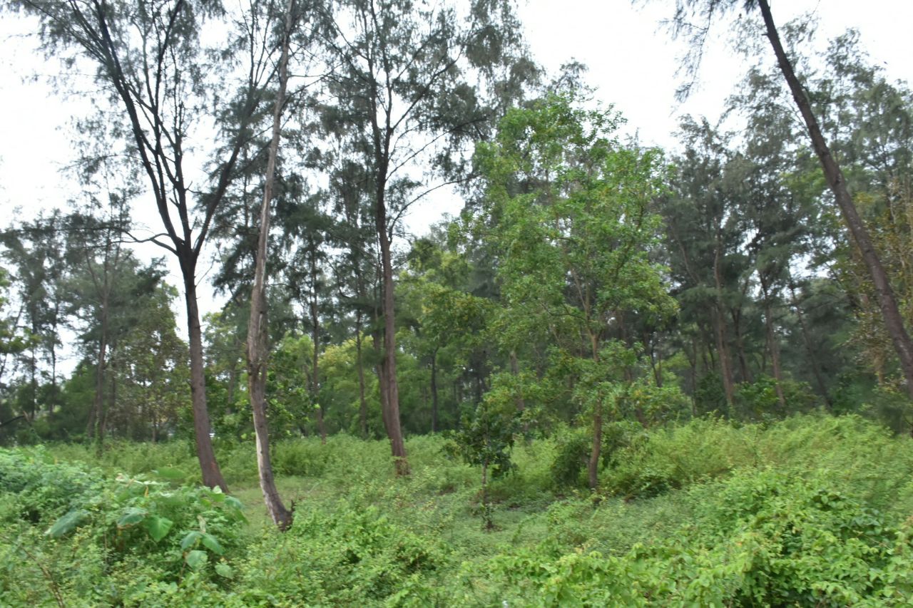 ‘ಹೋವರ್‌ಕ್ರಾಫ್ಟ್ ನಿಂದ ಸಾರ್ವಜನಿಕರ ಸಂಚಾರಕ್ಕೆ  ಅಡ್ಡಿಯಿಲ್ಲ:  ಕೋಸ್ಟ್ ಗಾರ್ಡ್ ಅಧಿಕಾರಿ