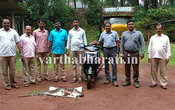 ಹೆಬ್ಬಾವನ್ನು ಕೊಂದು ಮಾಂಸ ಮಾಡಿದಾತನ ವಿರುದ್ಧ ವನ್ಯಜೀವಿ ಸಂರಕ್ಷಣಾ ಕಾಯ್ದೆ ಪ್ರಕಾರ ಕೇಸ್