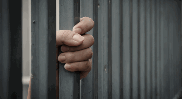 ಸರಕಳ್ಳಿಗೆ ಒಂದು ಲಕ್ಷ ರೂ. ಕಟ್ಟಿ ಜಾಮೀನು!