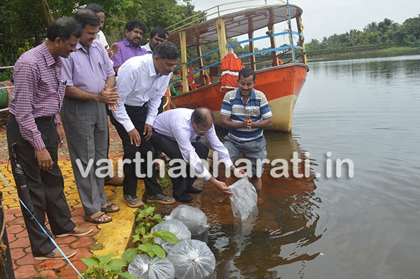 ಪಿಲಿಕುಳದಿಂದ ಕೆರೆಗೆ ಮೀನು ಬಿಡುಗಡೆ